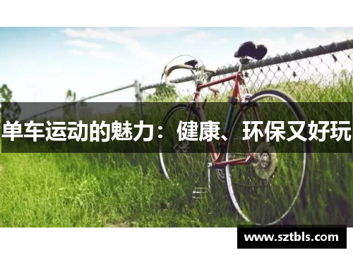 单车运动的魅力：健康、环保又好玩