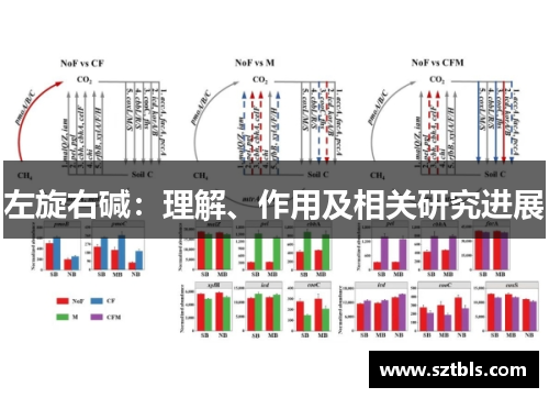 左旋右碱：理解、作用及相关研究进展