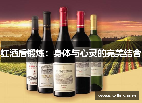 红酒后锻炼：身体与心灵的完美结合